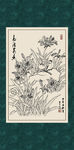 柱顶红