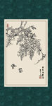 白描紫藤