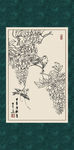 白描紫藤