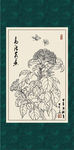 鸡冠花