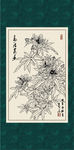 秋葵