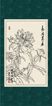 白描芍药