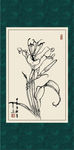 萱草