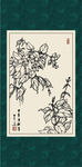 龙吐珠