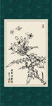 洋凌霄