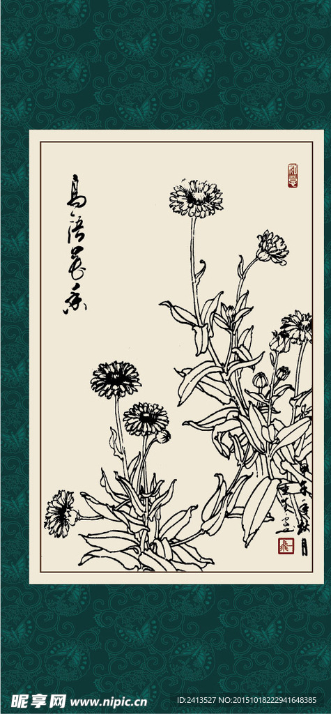 金盏草