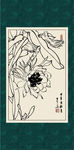 昙花