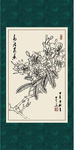 凤凰花