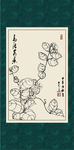 凤凰花