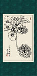 天竺葵
