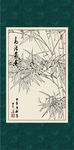 竹子