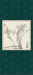 白描兰花