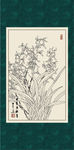 白描兰花