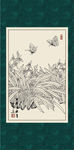 白描兰花
