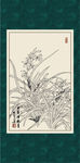 白描兰花