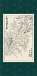 白描兰花