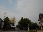 公园景色