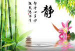 静 竹子  风景图片