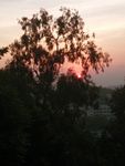 夕阳