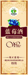 蓝莓展架