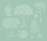 树木 植物 手绘 线稿 时尚