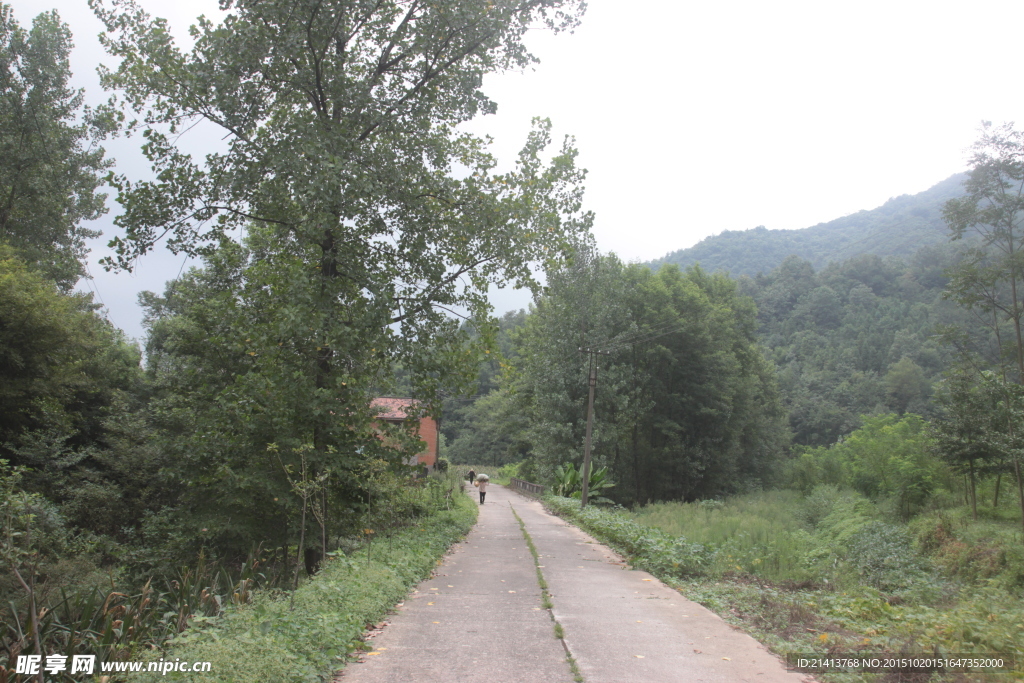 山路
