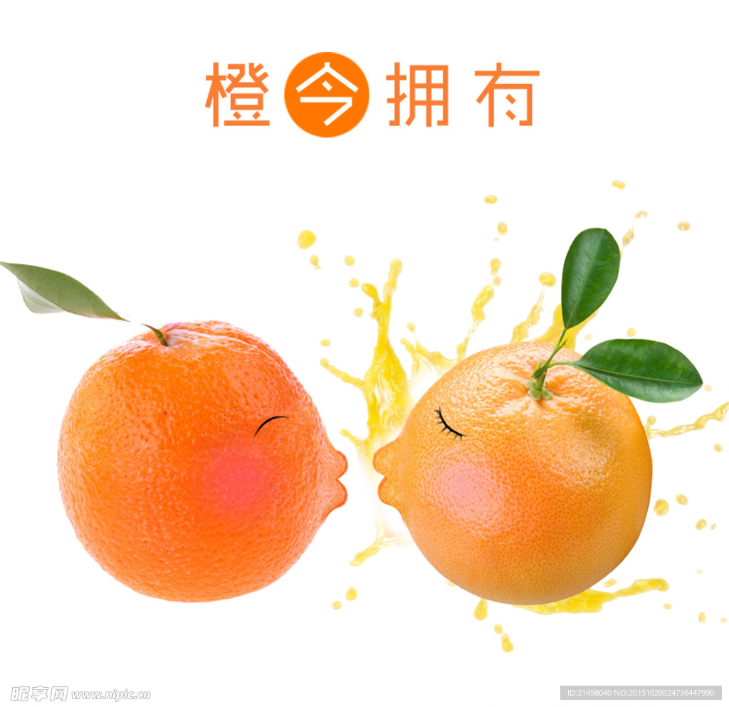 脐橙主图