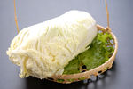 大白菜