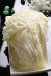 大白菜