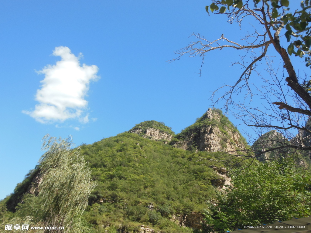 青山