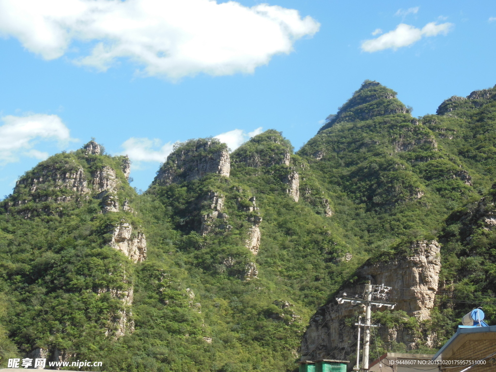 青山