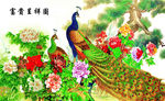 孔雀牡丹