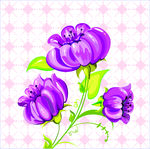 水葫芦花