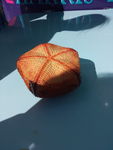 海星