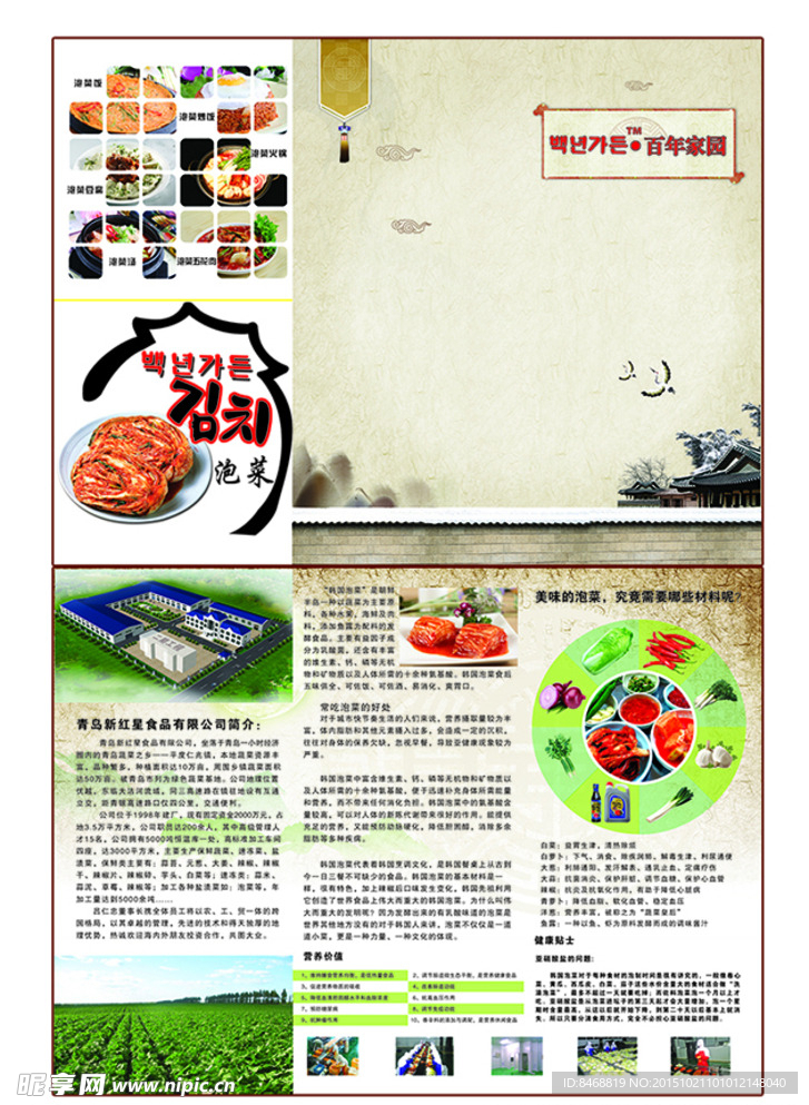 泡菜三折页