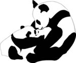 熊猫妈妈和小熊猫