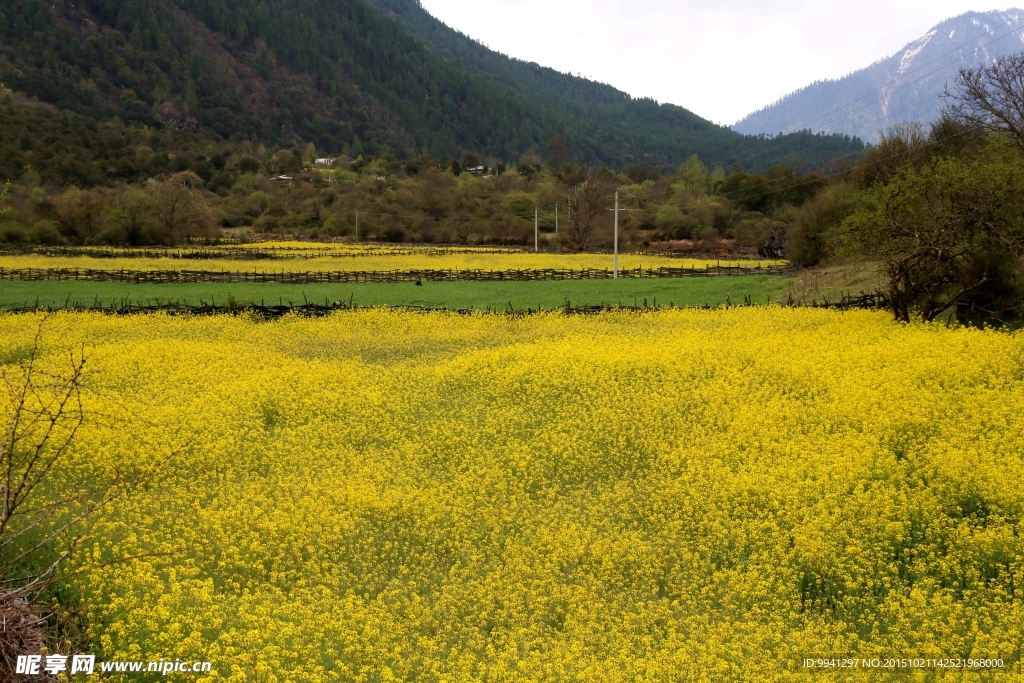 川藏林芝风景