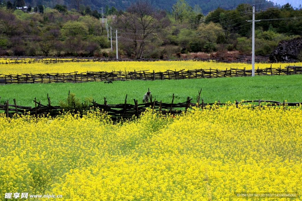 川藏林芝风景