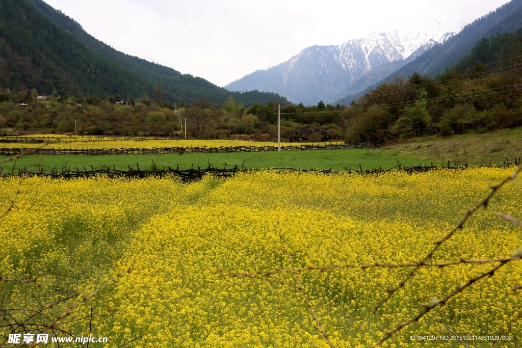 川藏林芝风景