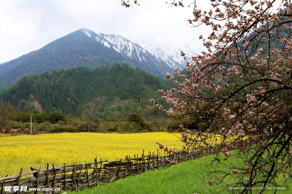 川藏林芝风景