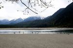 川藏林芝风景