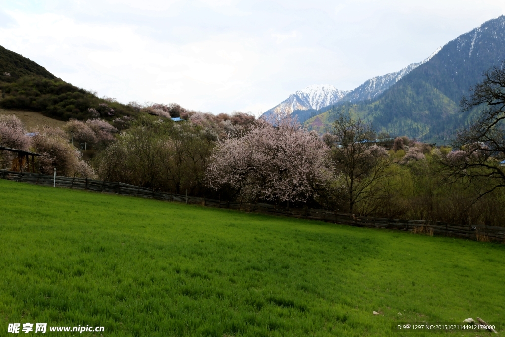 川藏林芝风景