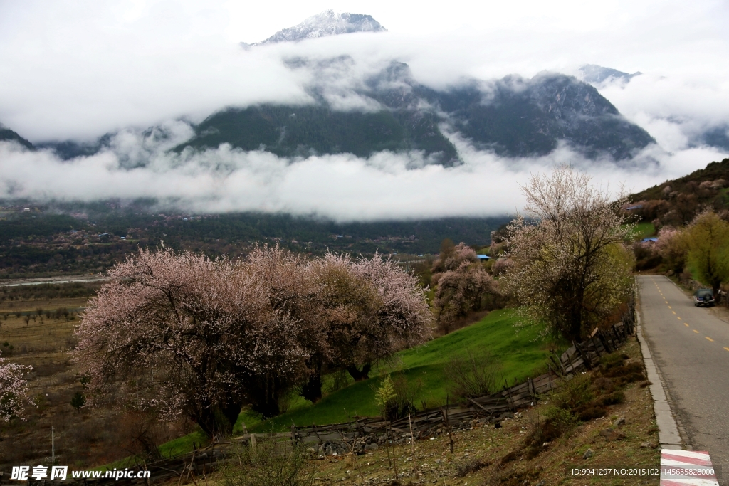 川藏林芝风景