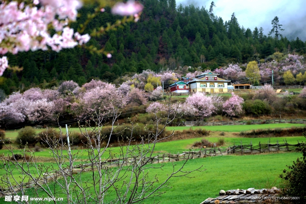 川藏林芝风景