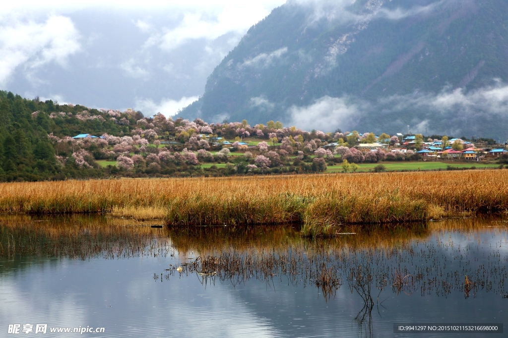 川藏林芝风景