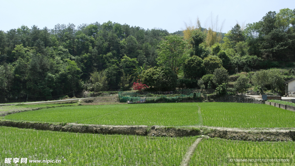 乡村山水 田园风光