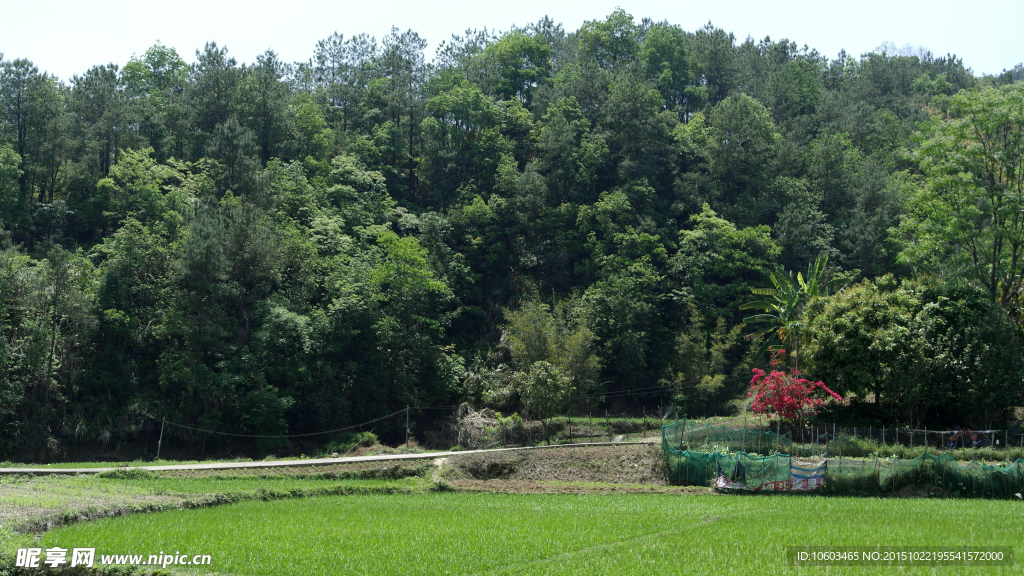 乡村山水 田园风光