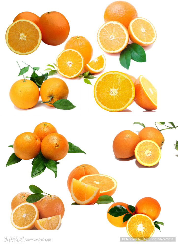 脐橙