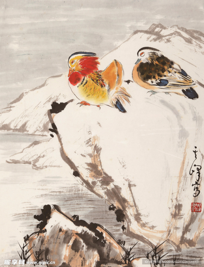 鸳鸯