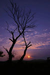 夕阳西下